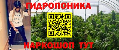 стафф Гуково
