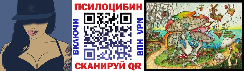 ОМГ ОМГ ссылка  Балашиха  Галлюциногенные грибы Psilocybe  наркота 