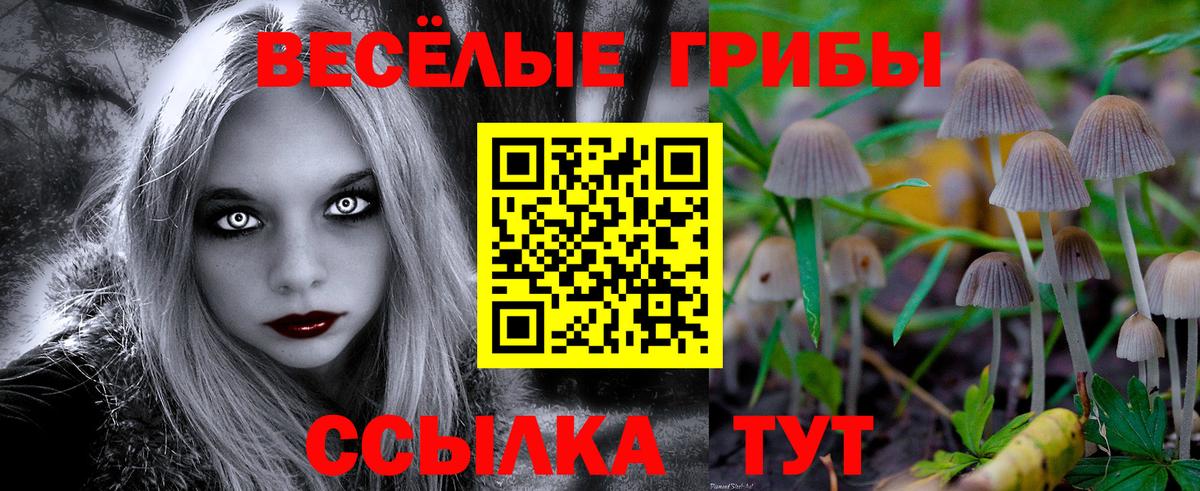 Галлюциногенные грибы ЛСД Балашиха
